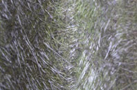 Yoxall fibreglass roof work